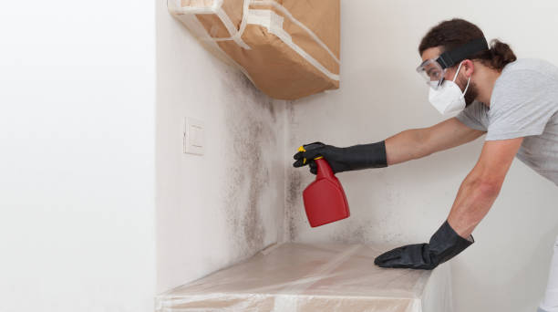 Professional Mold Inspection And Testing technician working in Fulton, NY